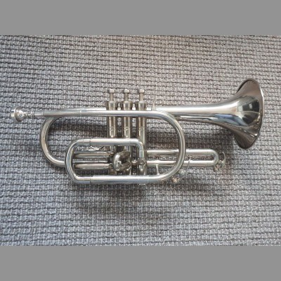 Schenkelaars Cornet